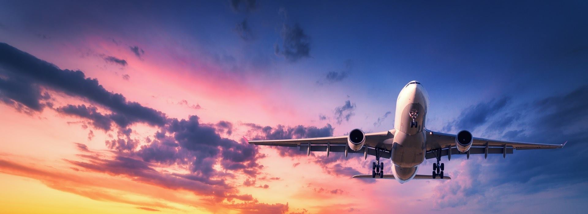 Vliegtuig/Strandvakantie | Carolus Reizen